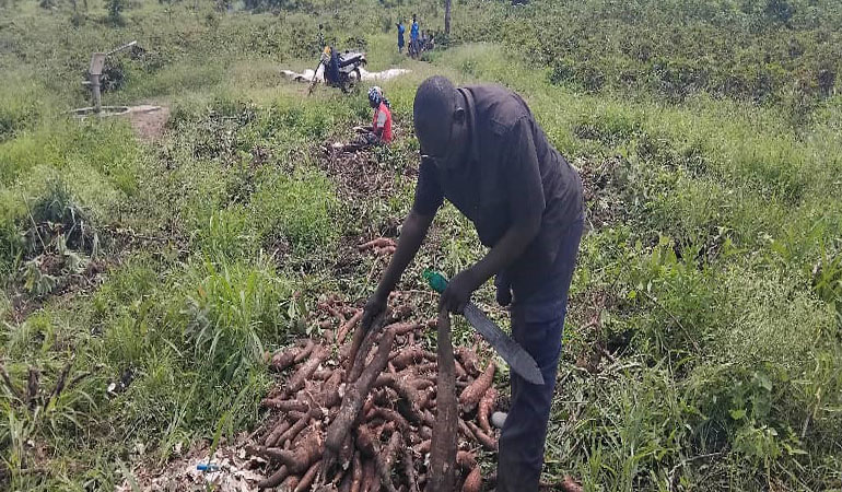 Executive chef portrait
